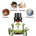 Чистое эфирное масло Elite99 10 мл Cajeput для освежения воздуха, диффузоры для ароматерапии, масло для снятия стресса, эфирные масла для массажа тела