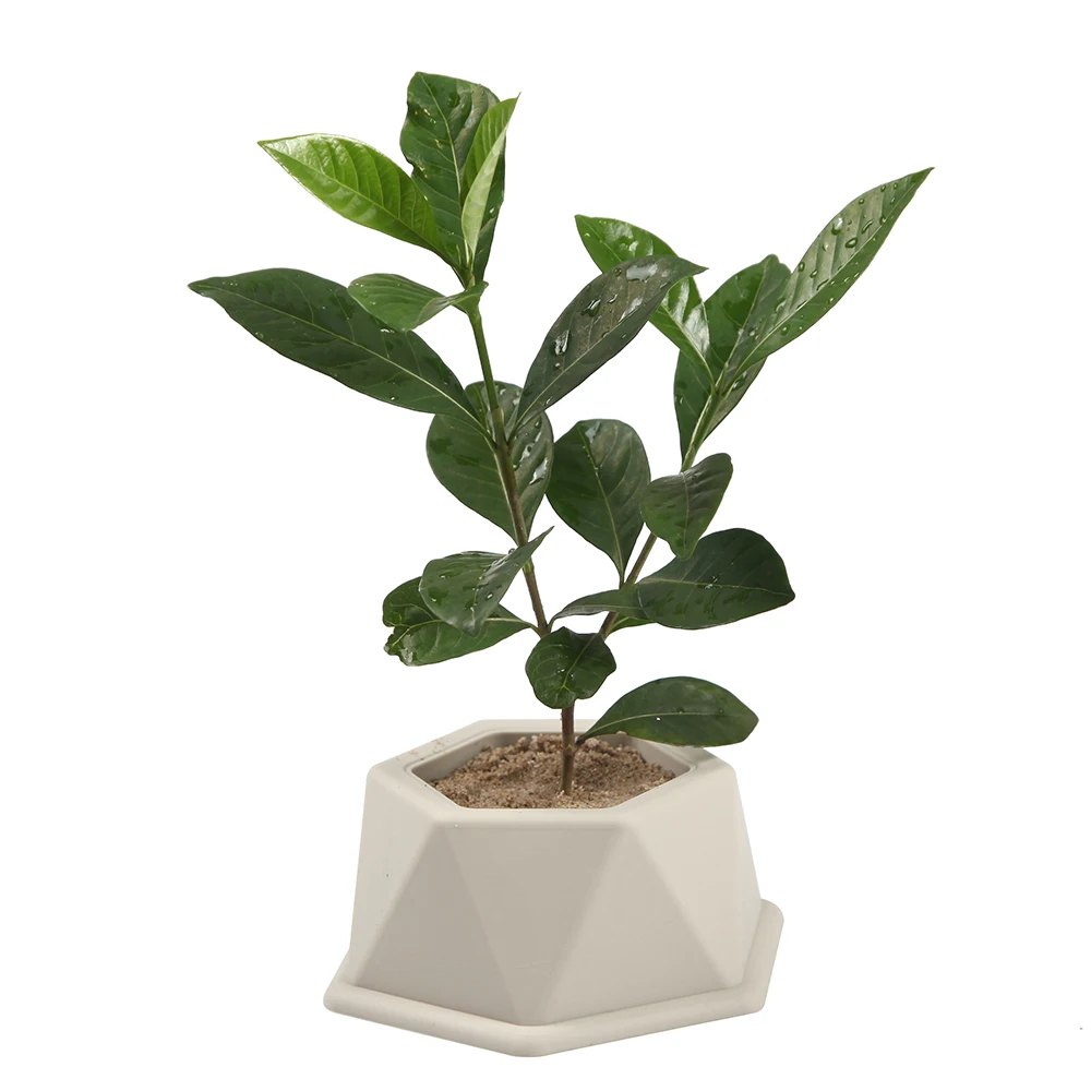 Новая силиконовая форма большого размера шестигранники бетон мясистый цветок