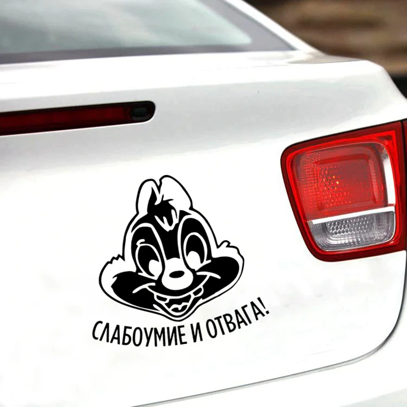 

Bravery and Stupidity Funny Car Sticker Reflective Waterproof Car Decal Vinyl Stickers on Car Truck Bumper Rear Window