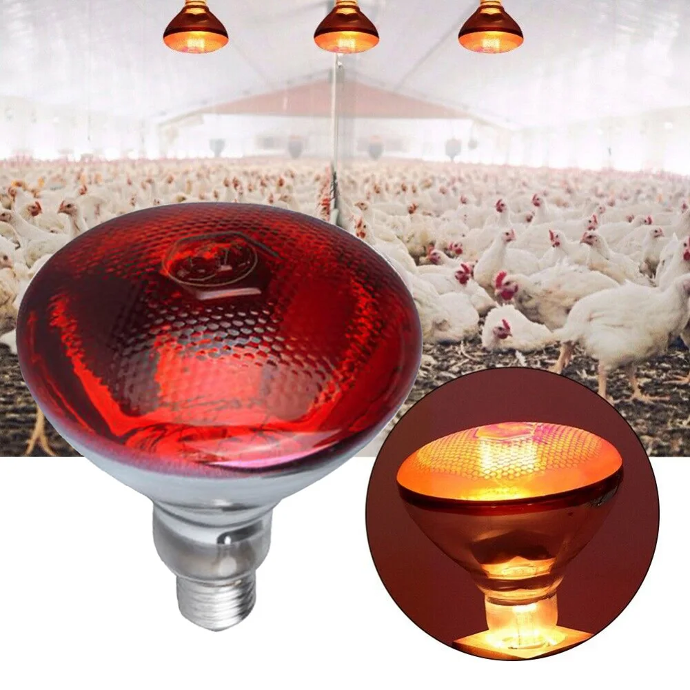 

250w Infrared Heat Lamp Waterproof Anti-Explosion Thickened Light Bulbs for Piglet Chicken Duck Birds TRYC889