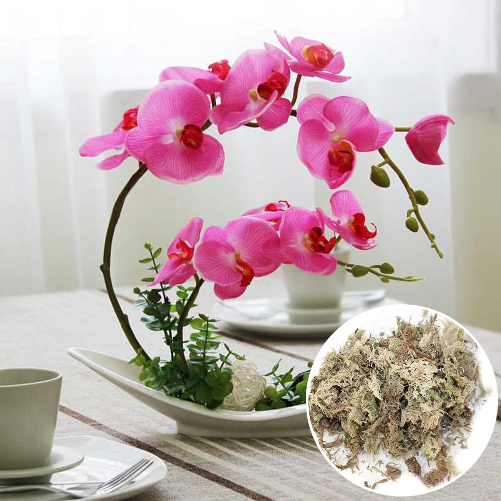 

Сухой мох для воды, цветок, Орхидея фаленопсис, безмасляная Подложка для выращивания питательных веществ, почва 12 л, прессованный пакет