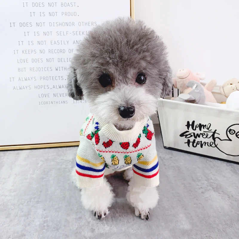 Осенне-зимний свитер для маленьких собак теплая одежда милый плюшевый мишка