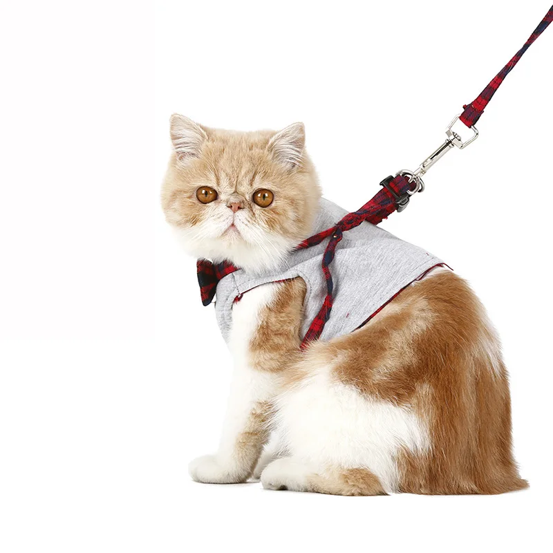 Ошейники для кошек поводок собак товары домашних животных спасательный