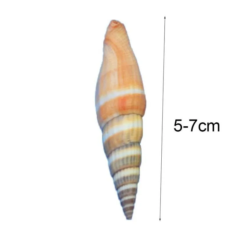 5-7 см оранжевый красный перец раковина натуральная Морская ракушка морской