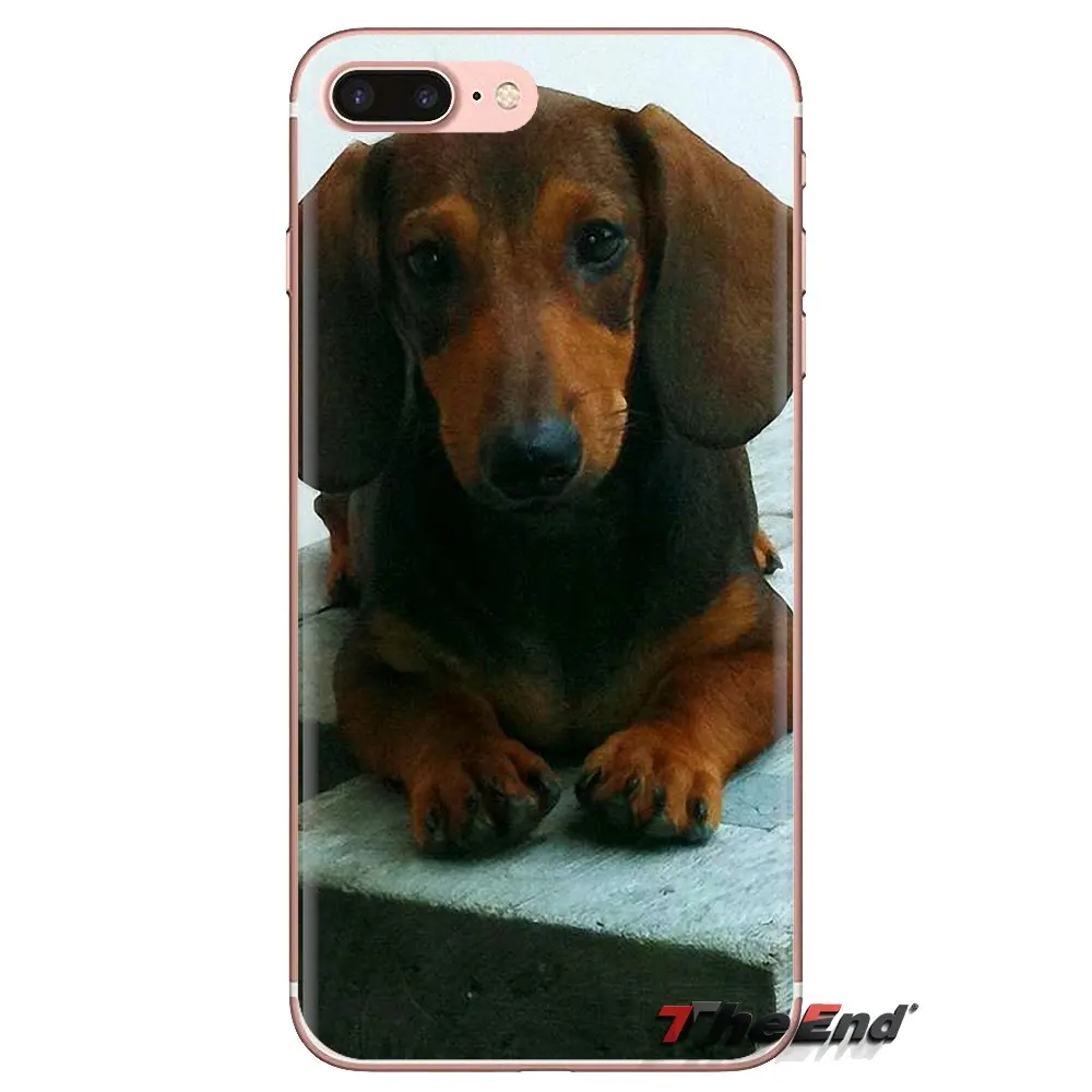 Dachshund Teckel Dackel Dog For Samsung Galaxy J1 J2 J3 J4 J5 J6 J7 J8 Plus 2018 Prime 2015 2016 2017 Silicone Phone Shell Cover |