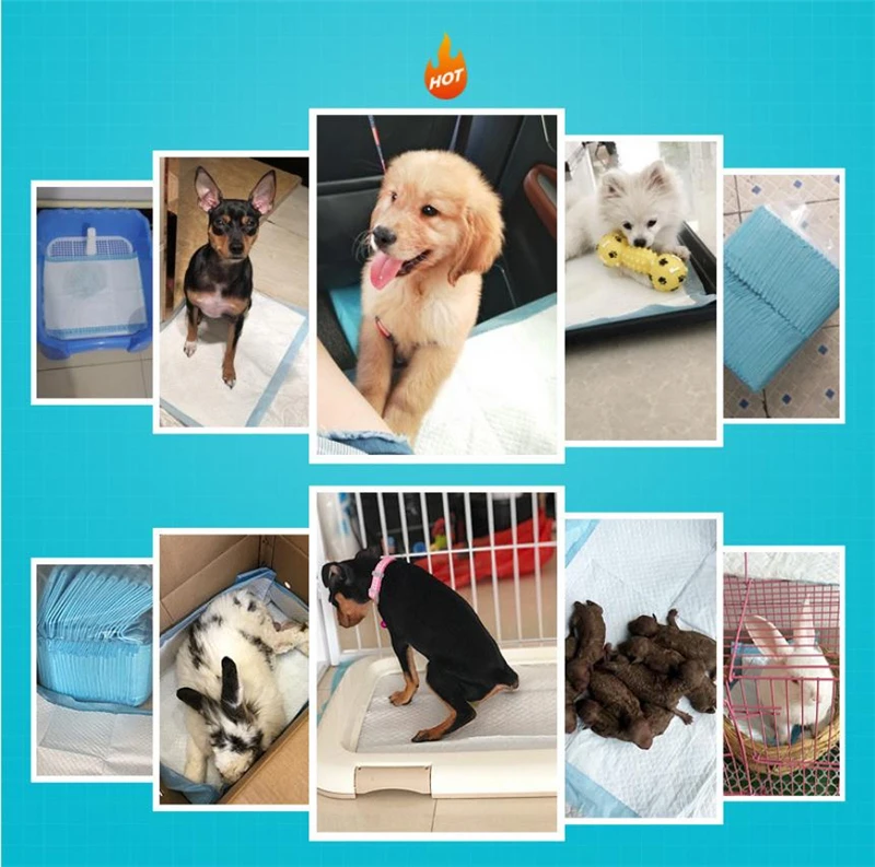 100/50/40/20PCS Super Absorbent Pet Diaper Dog Training Pee Pads Disposable Healthy Nappy Mat For Pet Dog Cats XL/L/M/S 4 Sizes