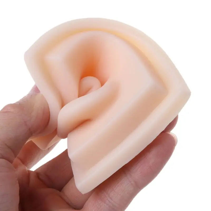 Модель левого уха из мягкого силикона человека в натуральную величину