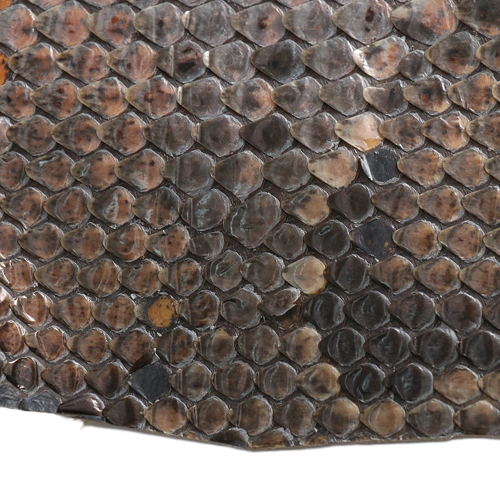 Durable Erhu Side Skin Snakeskin for Erhu-player DIY Accessory |