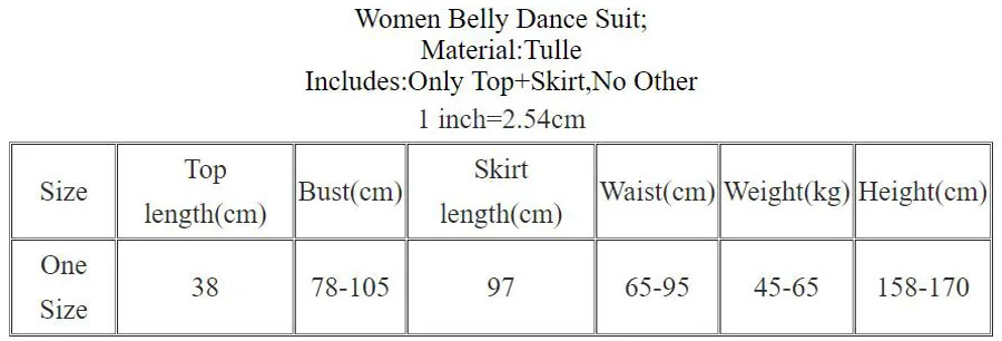 Belly Dance New Female Adult Elegant Top Big Swing Skirt Practice Clothes Suit Oriental Dancing Shirt Performance Clothing