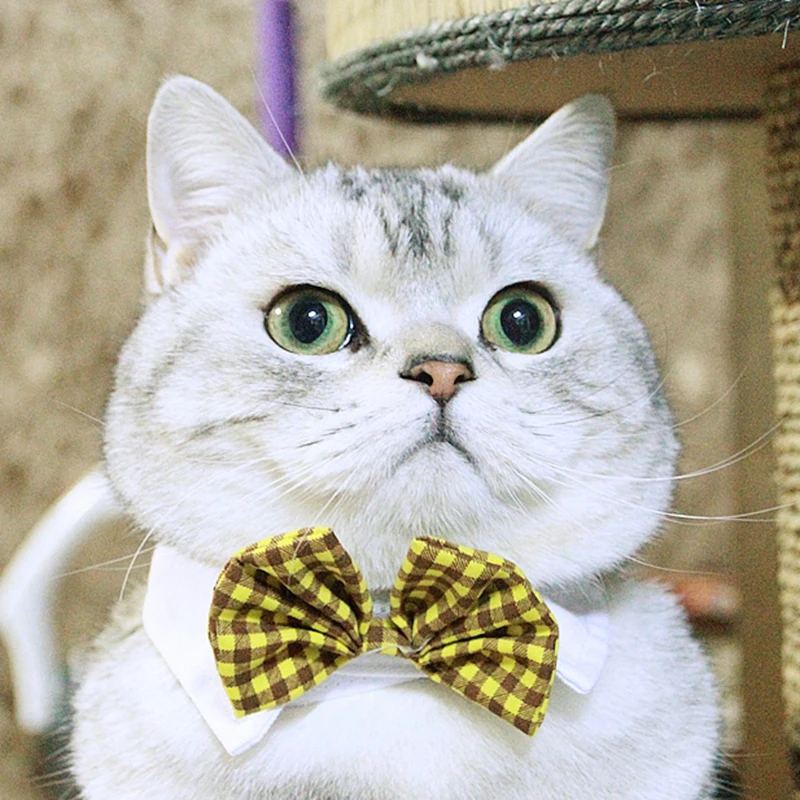 [Галстук бабочка в виде кошки MPK] искусственное ошейник различных стилях для