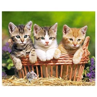 2019 new arrived diy diamond three cats in the basket embroidery diamond painting home decoration for christmas gift