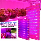 Светодиодная фитолампа полного спектра, 2000 Вт, 3000 Вт, 81 светодиод, s169, 1 режим