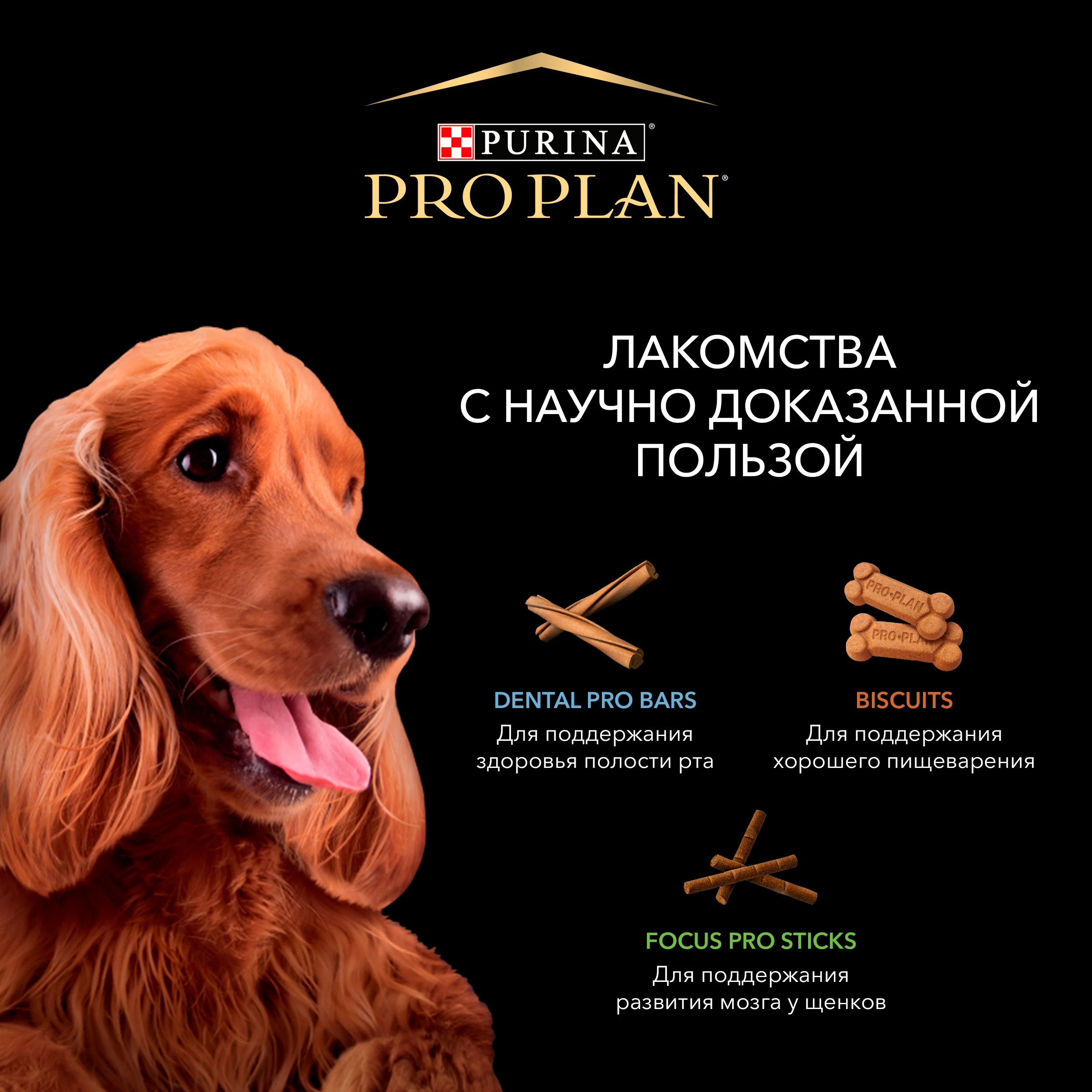 Лакомство Pro Plan Biscuits с курицей и рисом для стерилизованных собак 1.6 кг. | Дом сад