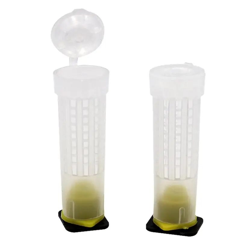 10 шт. Пластиковые Клетки для вывода зерен|Инструменты пчеловодства| |