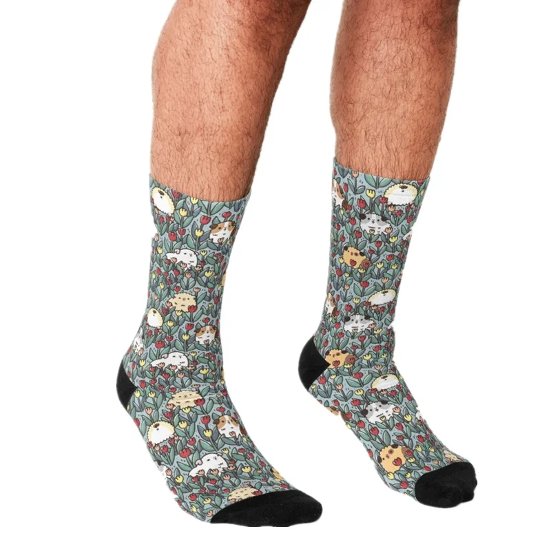 

2021 Socks Men harajuku Guinea Pig Gradient Socks Printed Happy hip hop Men Socks Novelty Skateboard Crew Casual Crazy Socks