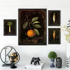 Постер с изображением фруктов и овощей, винтажный стиль, морковка, горький апельсин, холст, настенное художественное украшение для гостиной