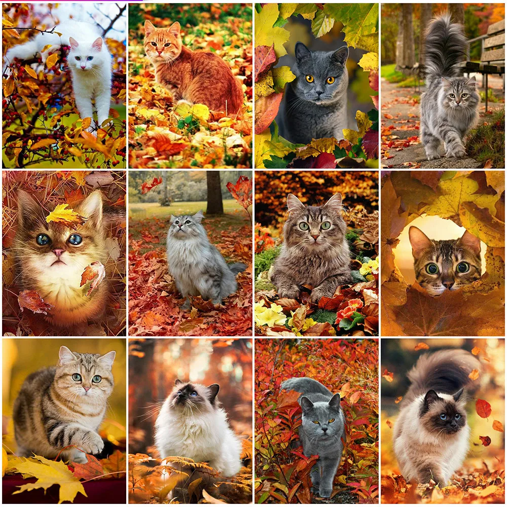 

MomoArt Autumn Cat Diamond Painting New Arrival Kits Diamond Embroidery Animal Needlework Mosaic Cross Stitch Home Decoration