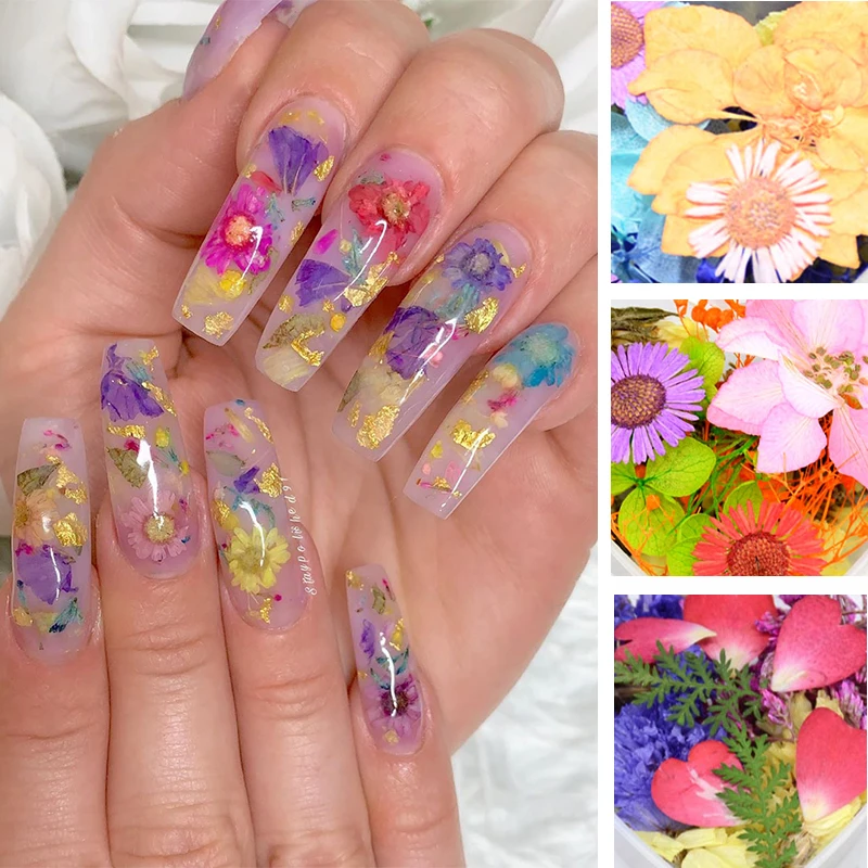 Сушеные цветы 3D Гортензия цветок смешанные дрели для ногтей красочный дизайн