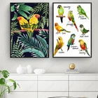 Декор для дома в скандинавском стиле, постеры и принты, Тропический попугай, джунгли, подарок, скандинавский Настенный декор, фотографии