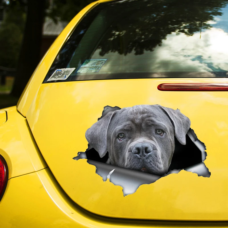 

Gray Cane Corso 17CM\20CM Self-adhesive Decal Car Sticker Waterproof Auto Decors on Bumper Rear Window Laptop # 60419