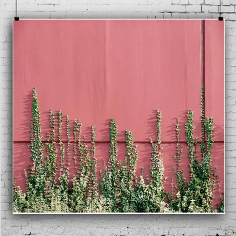 Реквизит для фотосъемки Nitree фон розовая стена зеленая Свадебная фотостудия