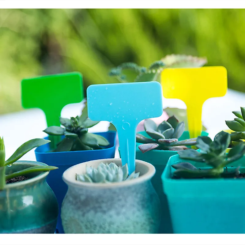 100 шт. Т-образные утолщенные этикетки для растений садовые цветы маркеры в