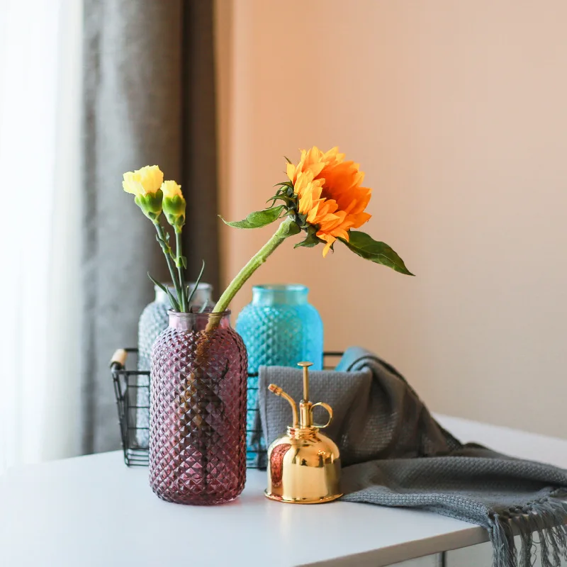 Креативные скандинавские стеклянные вазы для гидропоники бутылка растений