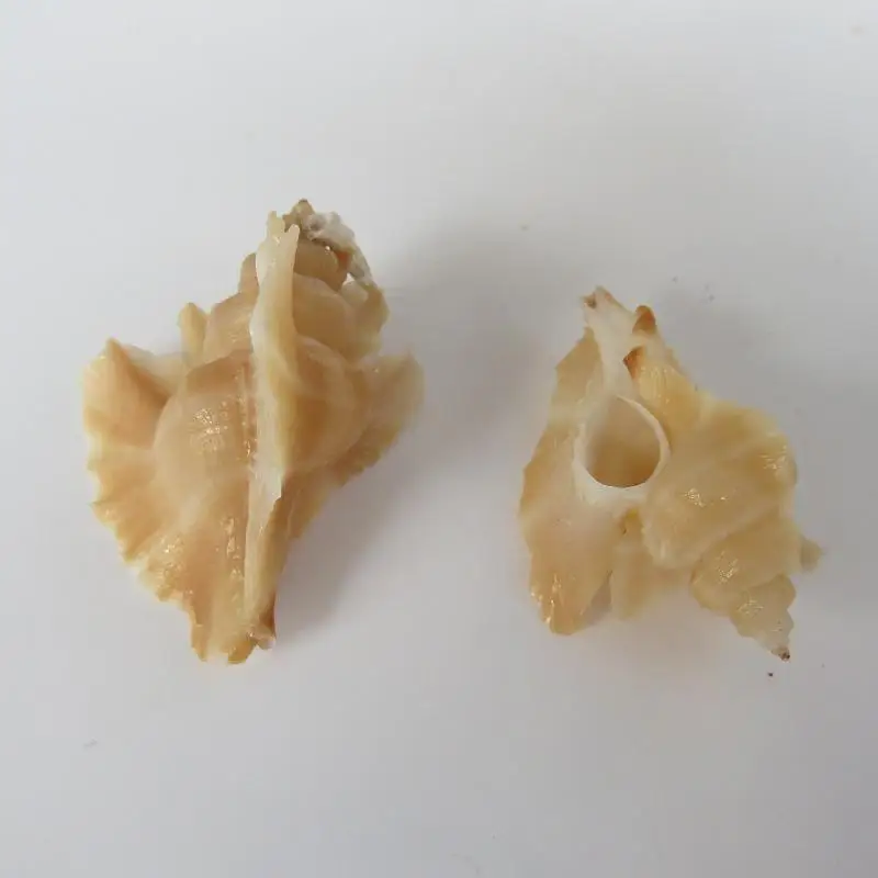 1 шт. Краб сменный корпус украшения рыбы в аквариуме пейзаж синтез натуральных