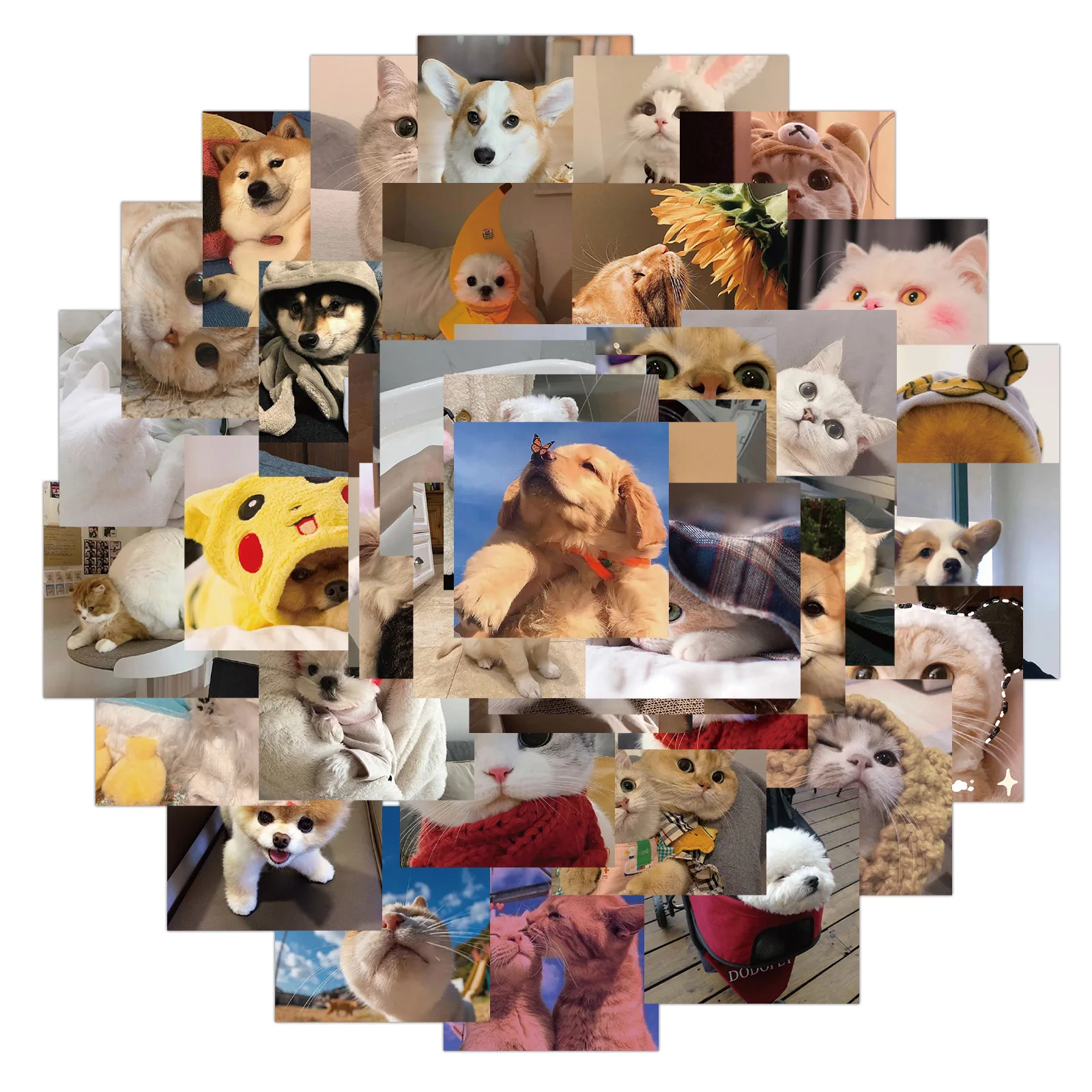 Pegatinas de animales Kawaii para ni&ntilde;os, calcoman&iacute;as impermeables, divertidas, de gato, perro, para ordenador port&aacute;til, equipaje, guitarra, &aacute;lbum de recortes, 10/30/50 Uds.-0