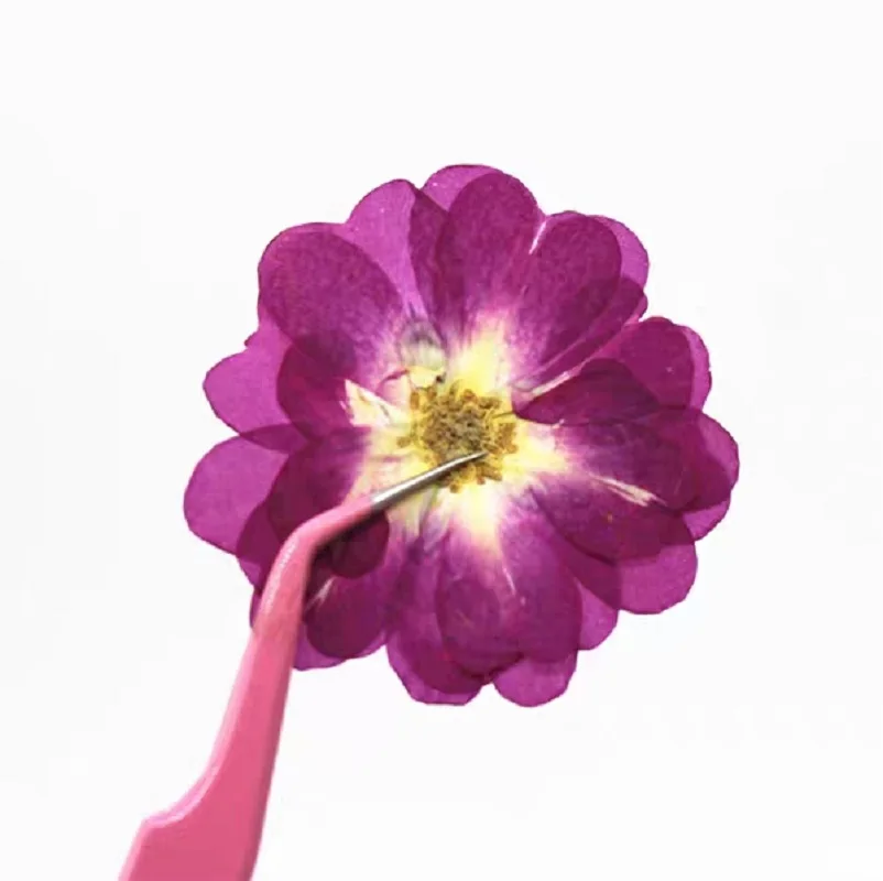 120 шт. прессованный высушенный розы гербарий для эпоксидной смолы изготовления