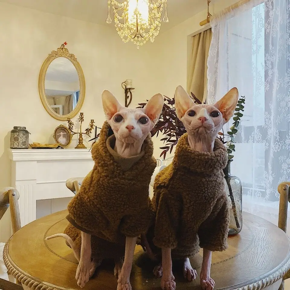 

Fashion hairless cat clothes Sphinx cat Devon Kness clothes Pet protection warm winter extra thick camel lamb cashmere hoodie