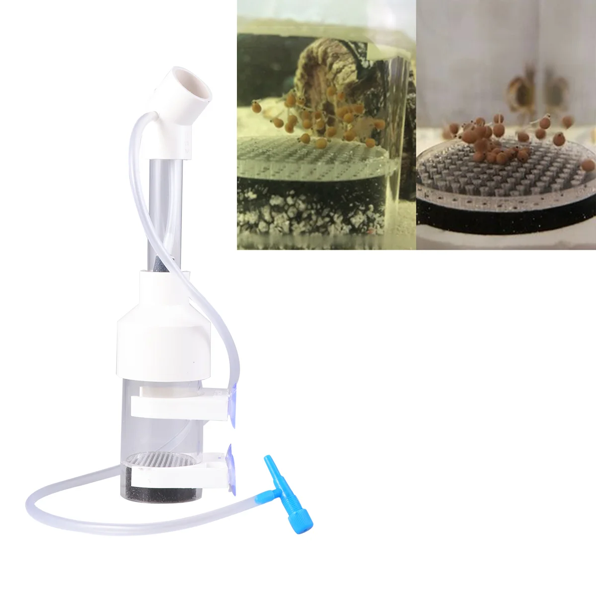 25x5 см аквариумные цихиды тумблер инкубатор для рыбы яиц рот-брудинг |