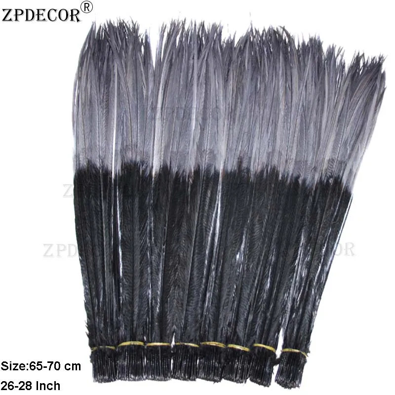 

ZPDECOR Double color Size 65-70 CM Golden Pheasant Feathers