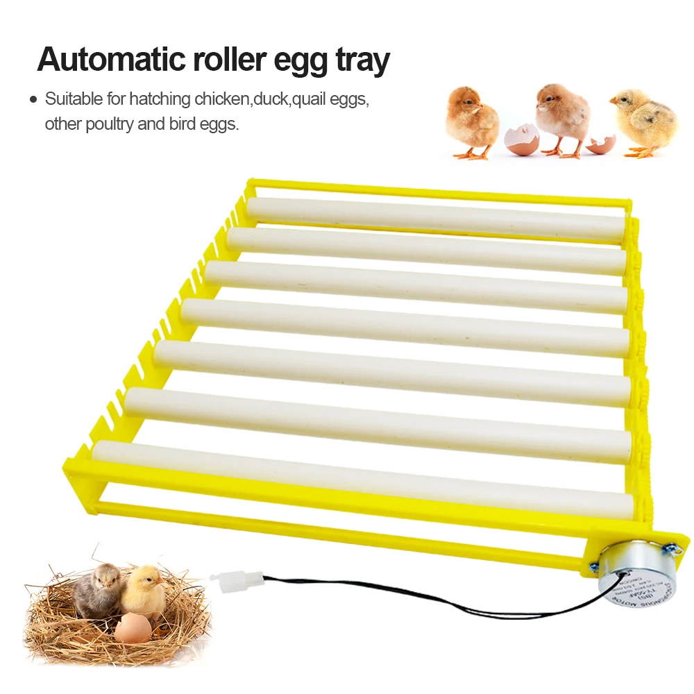 

Egg Incubator 42 Bird Duck Chicken Eggs Hatching Turn Tray Poultry7 Rollers Incubation Equipment Hatching with Auto Turn Motor