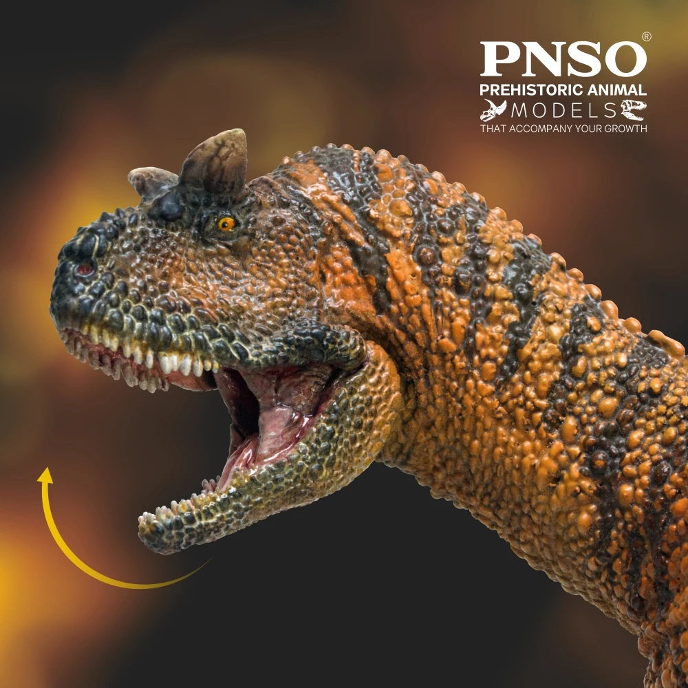 PNSO-dinosaurio preantiguo, modelos: 36, el Carnotaurus-2