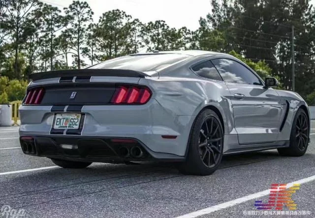 

Suitable For 15-21 Ford Mustang Gt350 Duckling's Carbon Fiber Tail Stick No Hole