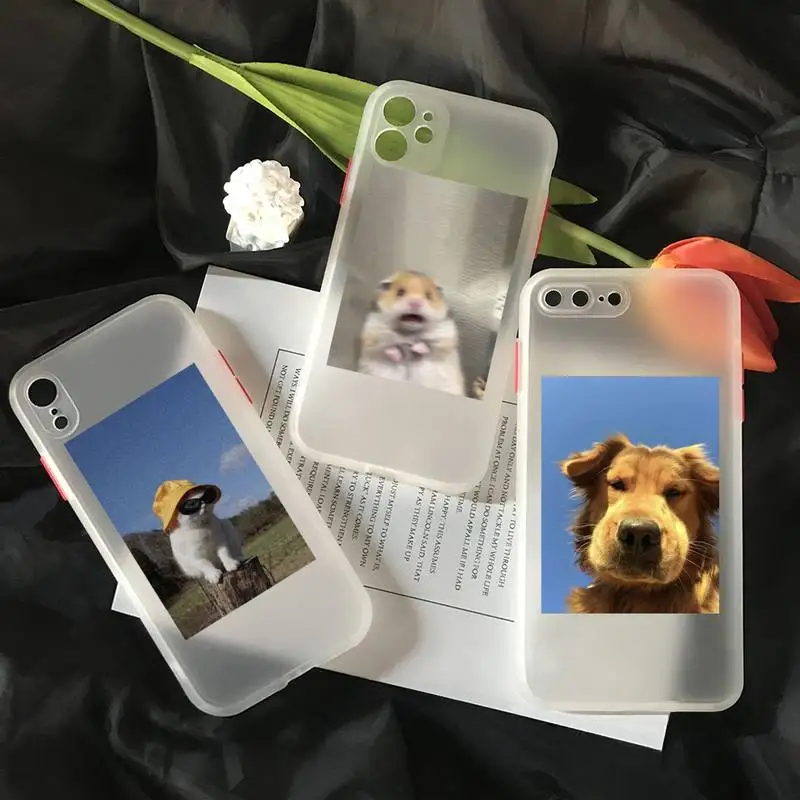 

Cheap Cute Animal Cat Dog Cellphone Bumper Transparent Matte PC Phone Case For Iphone 11 12 Pro Max 7 8 Plus X Xs Max XR Cover