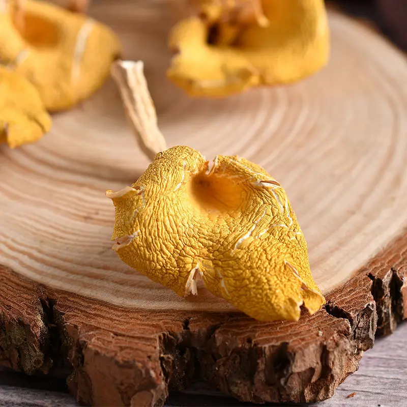

Dried Chanterelle Mushrooms Wild Mushrooms