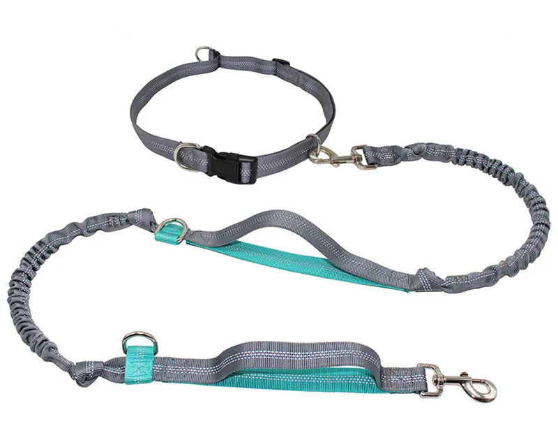 

Pet Leash Reflective Retractable Hands Free Dog Leashes with Dual Handle Bungee Leash Jogging Running Leash for Large Dogs