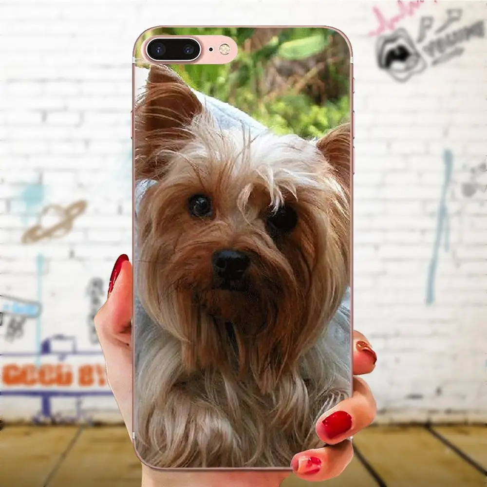 Yorkshire Terrier For Xiaomi Redmi Note 2 3 3S 4 4A 4X 5 5A 6 6A Pro Plus Soft TPU Mobile Phone | Мобильные телефоны и