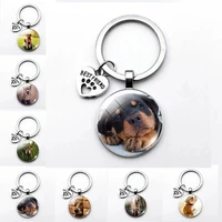 leisure dog keychain round glass cute fat dog pattern jewelry glass keychain dog couple gift