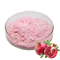 pomegranate fruit extract 99 plant fruit vegetable anthocyanin