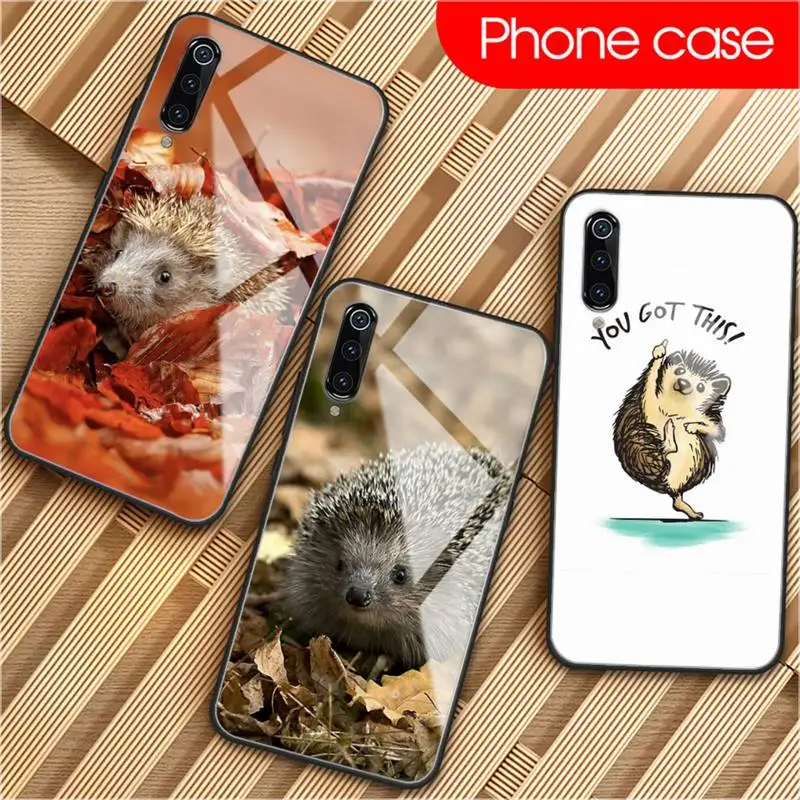 Чехол для телефона с милым животным ежиком закаленное стекло XiaoMi 8SE 6 8lite MIX2S Note 3