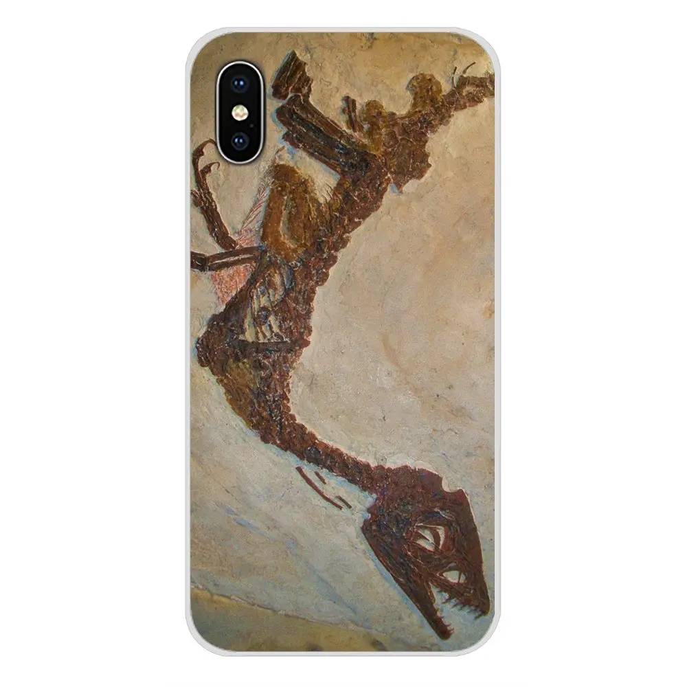 Биологические окаменелости растения динозавра рыбы для Oneplus 3 5 6 7 T Pro Nokia 2 8 9 230 1 Plus