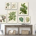 ВИНТАЖНЫЙ ПЛАКАТ с дикими растениями, постер с ботаническими цветами для обучения, постер для гостиной, Картина на холсте, анатомическая картина, эстетическое домашнее украшение