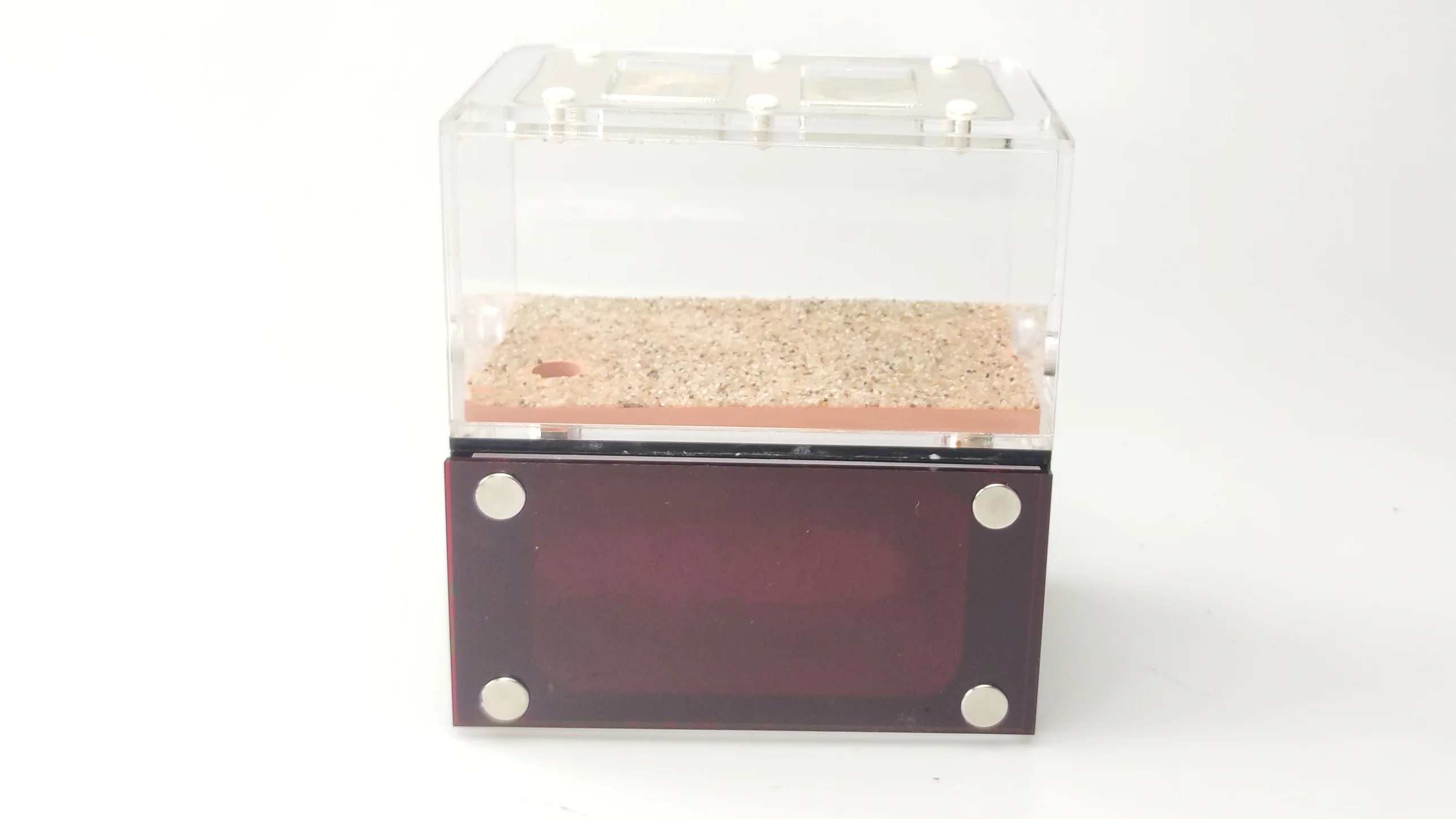 Бетонные и акриловые муравьиные гнезда муравьиная ферма независимые зоны