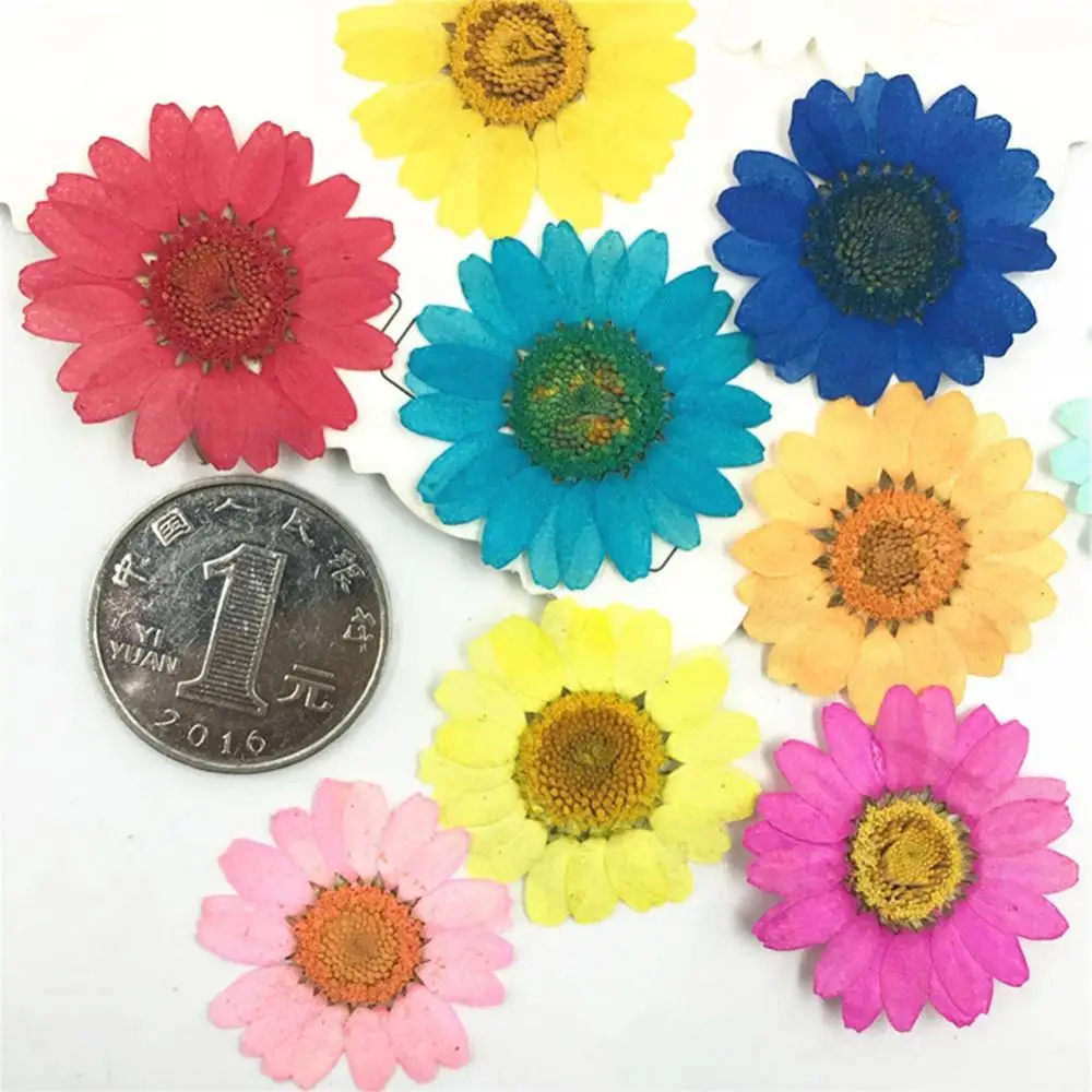 

12Pcs Lightweight Pressed Dried ganic Natural Flower Epoxy Resin Nail Craft DIY Phone Decoration Сушеные цветы flores secas