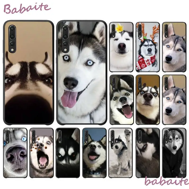 Забавный милый чехол для телефона Babaite Хаски с шапкой рисунком сделай сам Huawei NOVA 3I