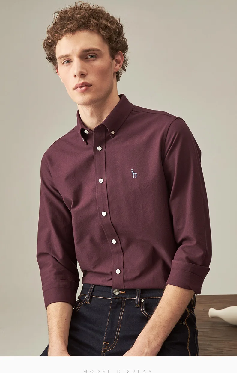 

Hazzy / haggis 21 new men's Oxford spinning long sleeve shirt business casual