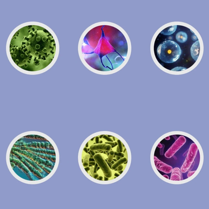 

100Pcs/Bottle Aquarium Nitrifying Bacteria Concentrated Capsule for Fish Tank